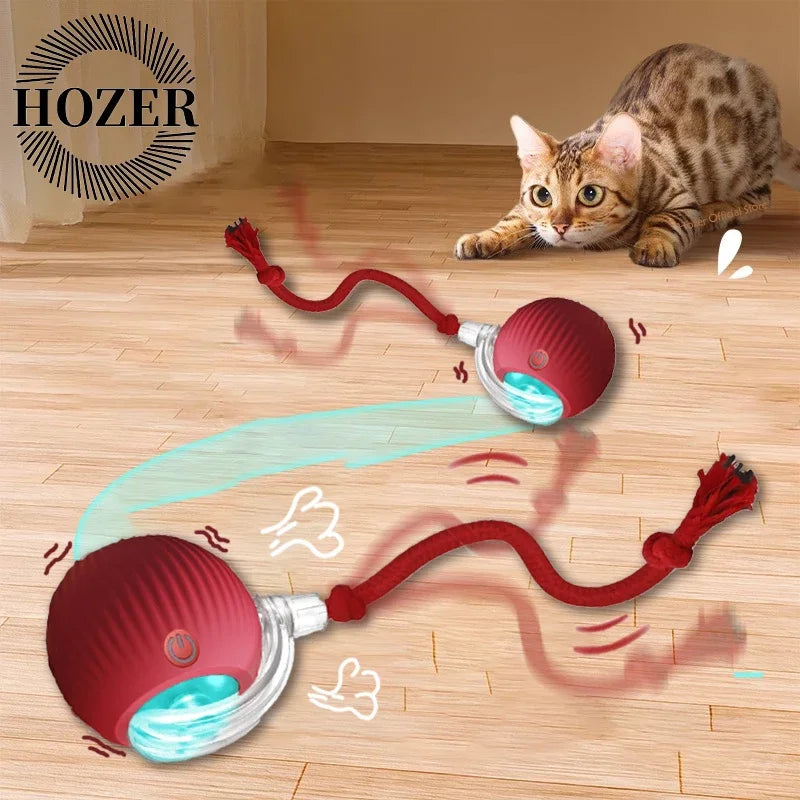 Zhejiang Cat Interactive Ball Toy Rechargeable Automatic Rolling