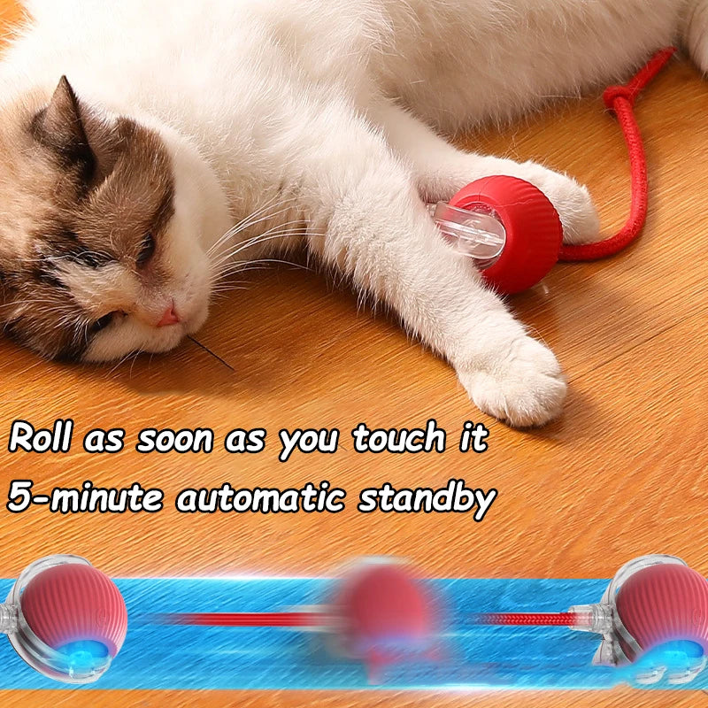 Zhejiang Cat Interactive Ball Toy Rechargeable Automatic Rolling