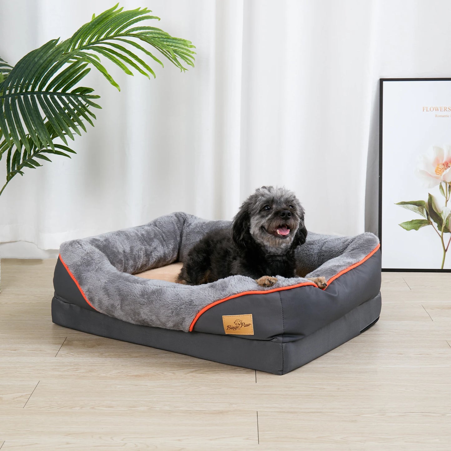 BINGOPAWCN Dog Bed Orthopedic Foam With Removable Cotton Cover