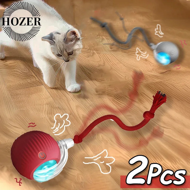 Zhejiang Cat Interactive Ball Toy Rechargeable Automatic Rolling