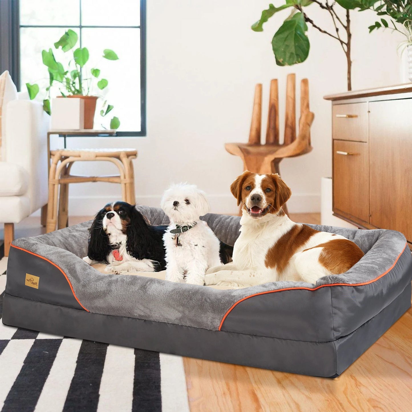 BINGOPAWCN Dog Bed Orthopedic Foam With Removable Cotton Cover