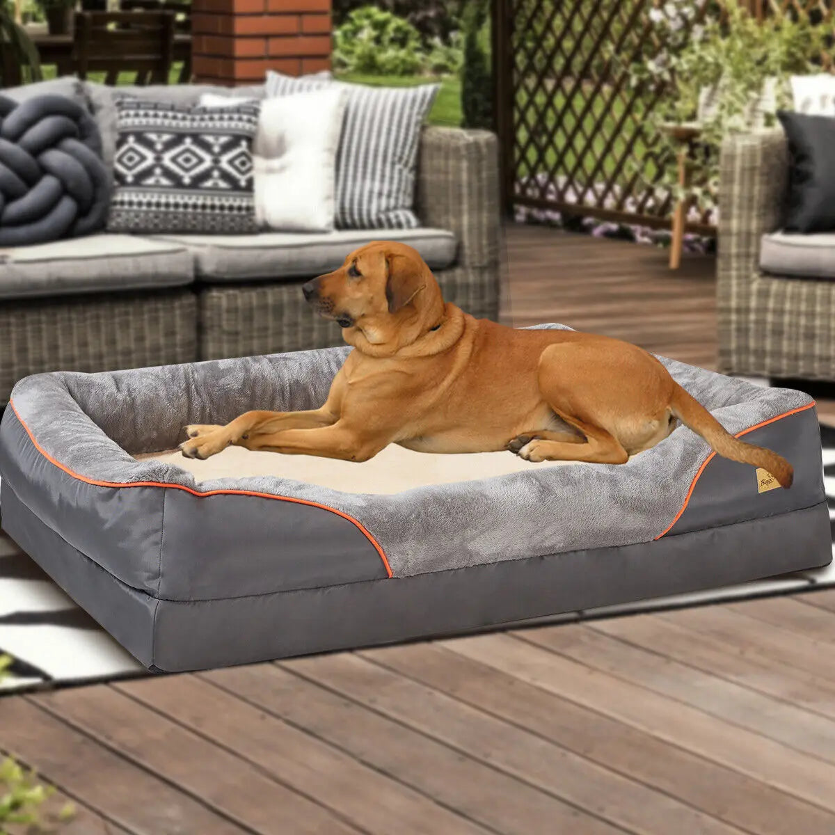 BINGOPAWCN Dog Bed Orthopedic Foam With Removable Cotton Cover
