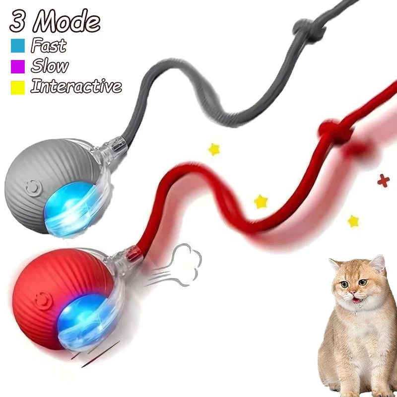 Zhejiang Cat Interactive Ball Toy Rechargeable Automatic Rolling